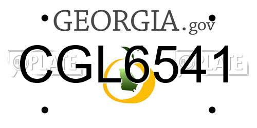 CGL6541 Georgia License Plate