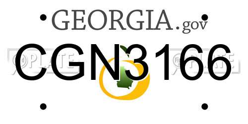 CGN3166 Georgia License Plate