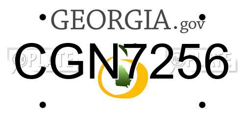 CGN7256 Georgia License Plate