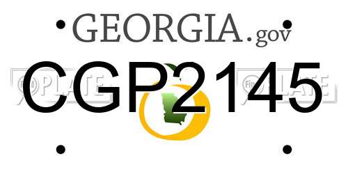 CGP2145 Georgia License Plate
