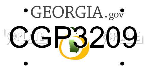 CGP3209 Georgia License Plate