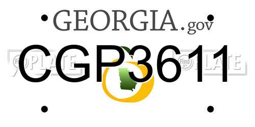 CGP3611 Georgia License Plate