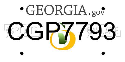 CGP7793 Georgia License Plate