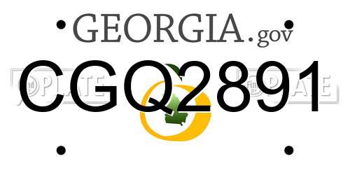 CGQ2891 Georgia License Plate