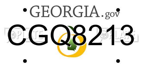 CGQ8213 Georgia License Plate