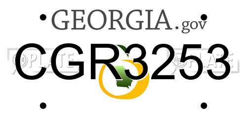 CGR3253 Georgia License Plate
