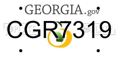 CGR7319 Georgia License Plate