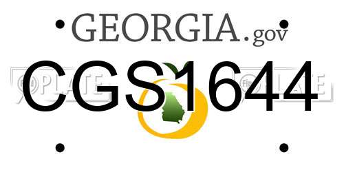 CGS1644 Georgia License Plate