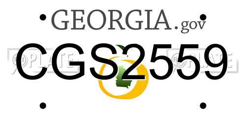 CGS2559 Georgia License Plate