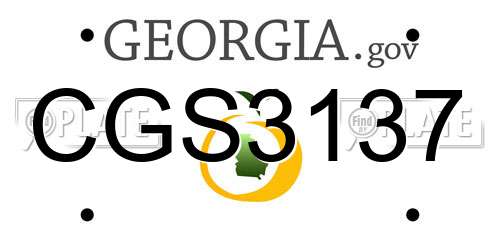 CGS3137 Georgia License Plate