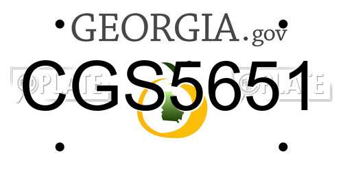 CGS5651 Georgia License Plate