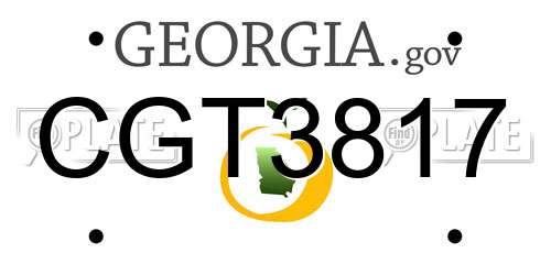 CGT3817 Georgia License Plate