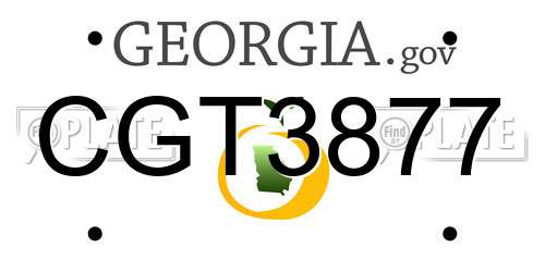CGT3877 Georgia License Plate
