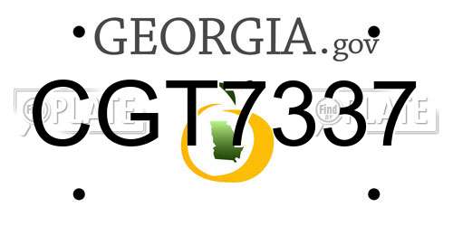 CGT7337 Georgia License Plate