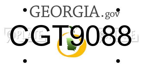 CGT9088 Georgia License Plate