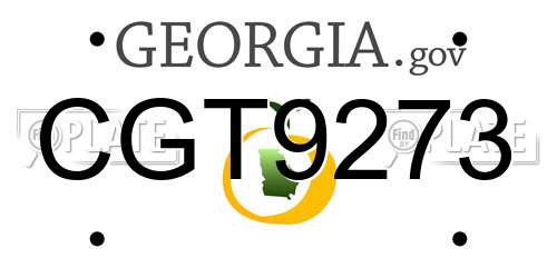 CGT9273 Georgia License Plate
