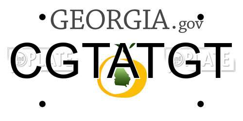 CGTATGT Georgia License Plate