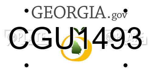 CGU1493 Georgia License Plate