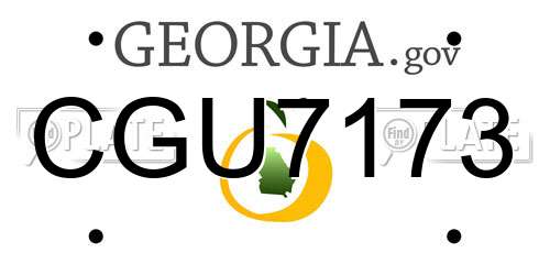 CGU7173 Georgia License Plate