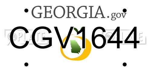 CGV1644 Georgia License Plate