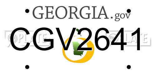 CGV2641 Georgia License Plate