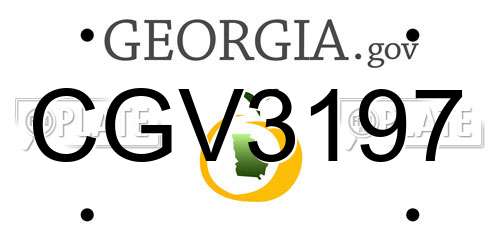 CGV3197 Georgia License Plate
