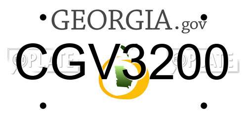 CGV3200 Georgia License Plate
