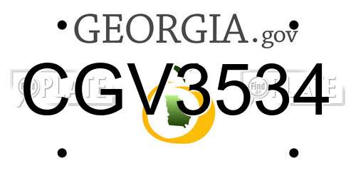 CGV3534 Georgia License Plate