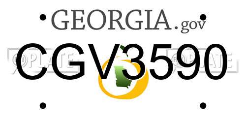 CGV3590 Georgia License Plate