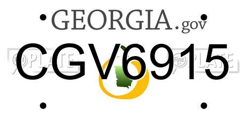 CGV6915 Georgia License Plate