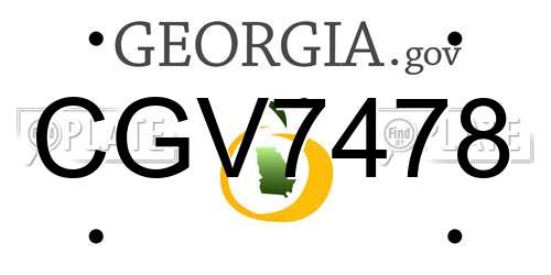 CGV7478 Georgia License Plate