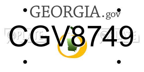 CGV8749 Georgia License Plate
