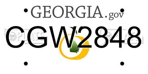 CGW2848 Georgia License Plate