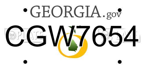 CGW7654 Georgia License Plate
