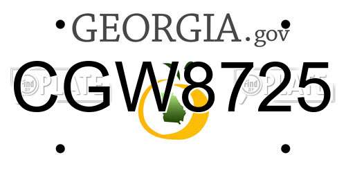 CGW8725 Georgia License Plate