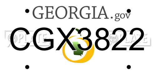 CGX3822 Georgia License Plate