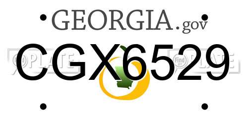 CGX6529 Georgia License Plate