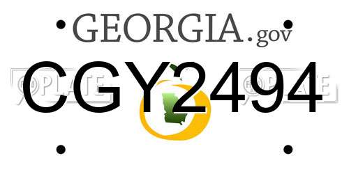 CGY2494 Georgia License Plate
