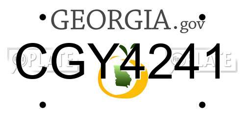 CGY4241 Georgia License Plate