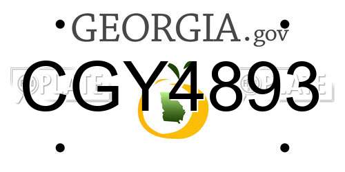 CGY4893 Georgia License Plate
