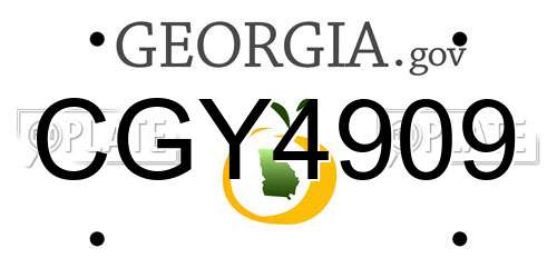 CGY4909 Georgia License Plate