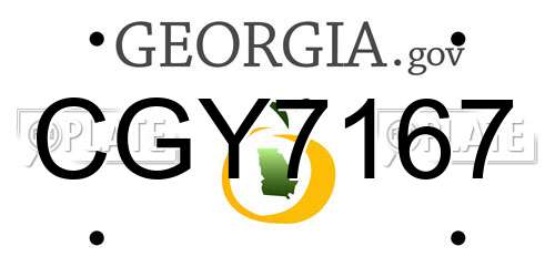 CGY7167 Georgia License Plate