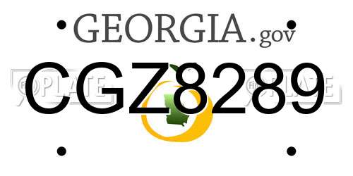 CGZ8289 Georgia License Plate
