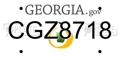 CGZ8718 Georgia License Plate