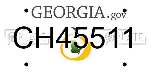 CH45511 Georgia License Plate