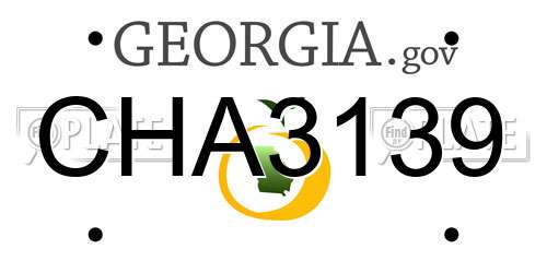 CHA3139 Georgia License Plate