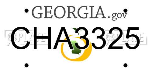 CHA3325 Georgia License Plate