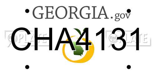 CHA4131 Georgia License Plate
