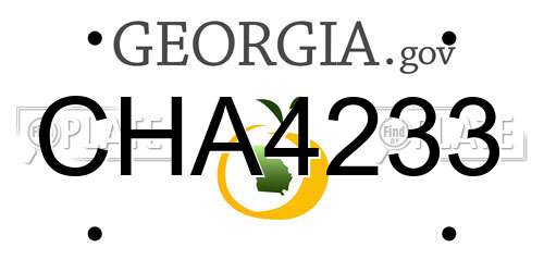 CHA4233 Georgia License Plate