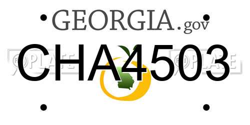 CHA4503 Georgia License Plate